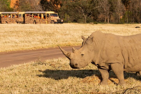 Sunset Safari At Werribee Open Range Zoo - Tourism Cairns 1