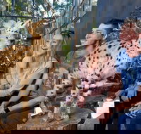 African Cat Encounter at Werribee Open Range Zoo - Tourism Cairns