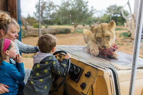 Werribee Open Range Zoo General Admission Ticket - Tourism Cairns 4