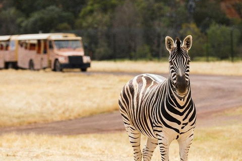 Werribee Open Range Zoo General Admission Ticket - Tourism Cairns 5