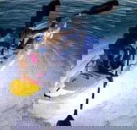 2-Day Moreton Island Tour from Brisbane or Gold Coast with Optional Nighttime Kayaking - Tourism Cairns