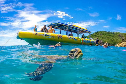 Great Barrier Reef Scenic Flight And Ocean Rafting Whitehaven Beach Day Trip - Tourism Cairns 1