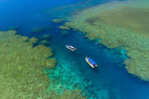 Great Barrier Reef Scenic Flight And Ocean Rafting Whitehaven Beach Day Trip - Tourism Cairns 4