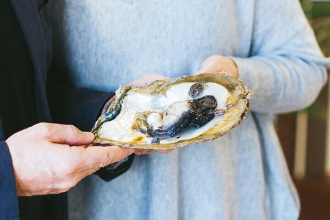 Half-Day Willie Creek Pearl Farm Tour With Helicopter Flight - Tourism Cairns 3