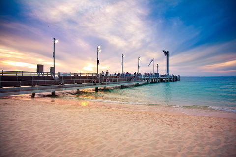 Tangalooma Island Resort Whale Watching Day Cruise With Dolphin Viewing - Tourism Cairns 3