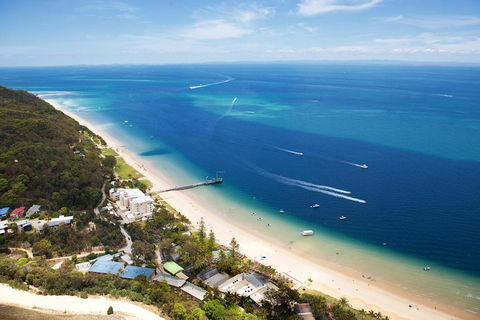 Tangalooma Island Resort Whale Watching Day Cruise With Dolphin Feeding - Tourism Cairns 2