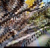 Kakadu National Park Cultural Experience - Tourism Cairns