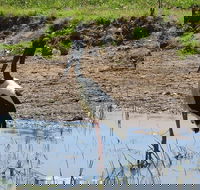 Darwin to Kakadu Day Trip by Air Including Yellow Water Cruise - Tourism Cairns