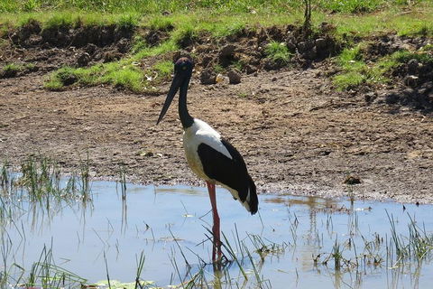 Darwin To Kakadu Day Trip By Air Including Yellow Water Cruise - Tourism Cairns 0