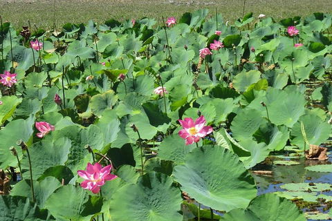 Darwin To Kakadu Day Trip By Air Including Yellow Water Cruise - Tourism Cairns 2
