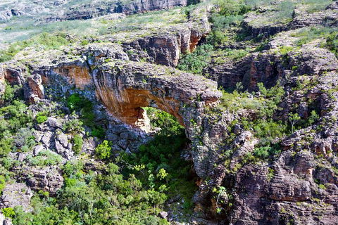 Darwin To Kakadu Day Trip By Air Including Yellow Water Cruise - Tourism Cairns 4