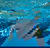 3 Day Whitsundays Sailing and Diving Adventure Kiana - Tourism Cairns