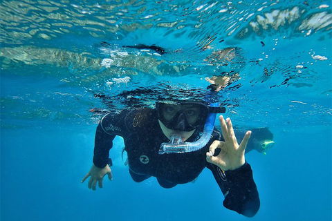 3 Day Whitsundays Sailing And Diving Adventure: Kiana - Tourism Cairns 0
