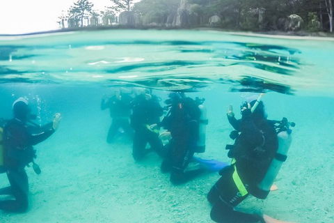 3 Day Whitsundays Sailing And Diving Adventure: Kiana - Tourism Cairns 4