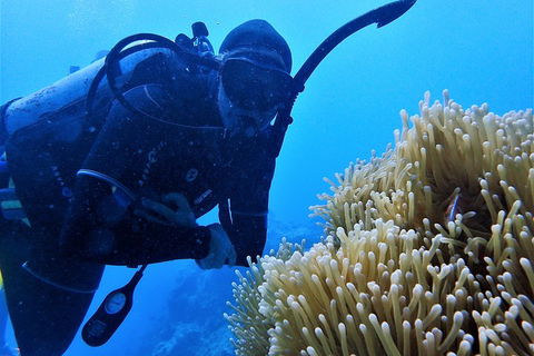 3 Day Whitsundays Sailing And Diving Adventure: Kiana - Tourism Cairns 5