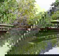 Hartley's Crocodile Adventures Breakfast with the Koalas - Tourism Cairns