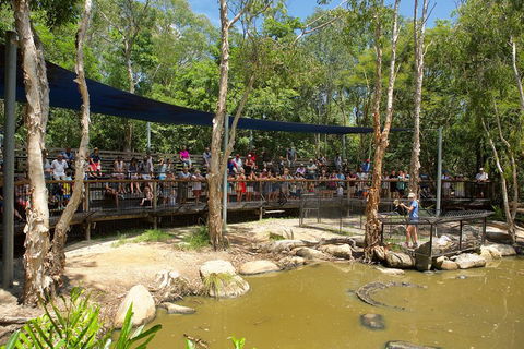 Hartley's Crocodile Adventures Breakfast With The Koalas - Tourism Cairns 1