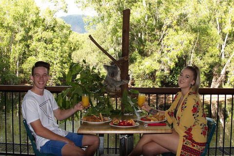 Hartley's Crocodile Adventures Breakfast With The Koalas - Tourism Cairns 5