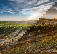 Perth to Margaret River Wine Tour - 2 Day Premium Boutique Wine Tour Experience - Tourism Cairns