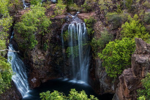 Litchfield National Park - Top End Day Tour From Darwin - Tourism Cairns 2