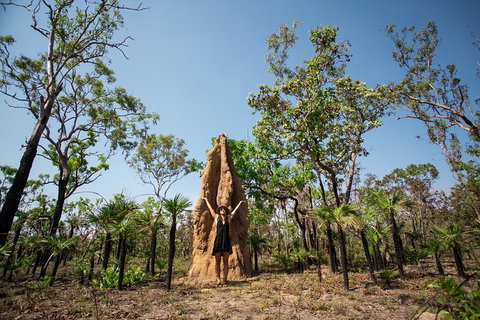 Litchfield National Park - Top End Day Tour From Darwin - Tourism Cairns 5