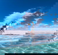 4-Day Coastal Loop via Monkey Mia Wild Dolphins Kalbarri Pinnacles Perth Return - Tourism Cairns