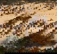 Pinnacles Sunset Dinner and Stargazing Experience a Small Group Tour - Tourism Cairns