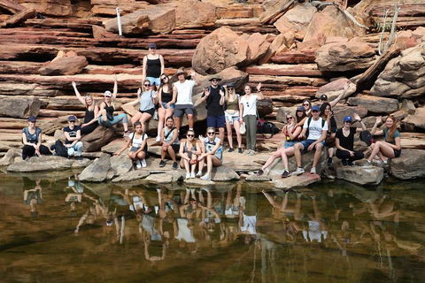 6-Day Coral Coaster From Perth To Exmouth One-Way Via Monkey Mia Ningaloo Reef - Tourism Cairns 2