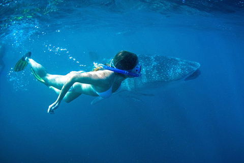 6-Day Coral Coaster From Perth To Exmouth One-Way Via Monkey Mia Ningaloo Reef - Tourism Cairns 3