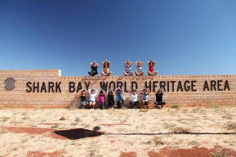 6-Day Coral Coaster From Perth To Exmouth One-Way Via Monkey Mia Ningaloo Reef - Tourism Cairns 4