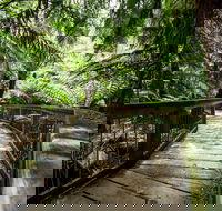12 Apostles Eco-Friendly Great Ocean Road Iconic Adventure from Melbourne - Tourism Cairns