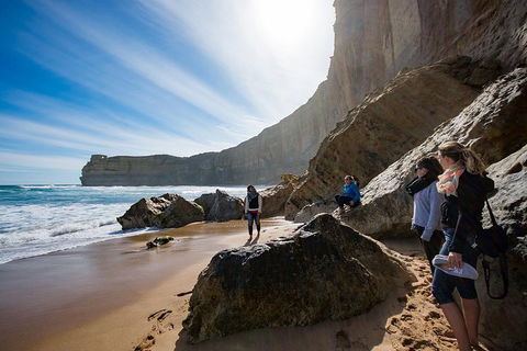12 Apostles Eco-Friendly Great Ocean Road Iconic Adventure From Melbourne - Tourism Cairns 2