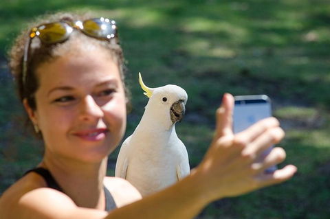 Small-Group Great Ocean Road Experience And Surf Coast Tour - Tourism Cairns 3