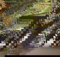 Adelaide Highlights Hahndorf  McLaren Vale Wine Tasting and Sightseeing Tour - Tourism Cairns