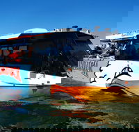 Express Jet Boat Ride  Aquaduck - Tourism Cairns