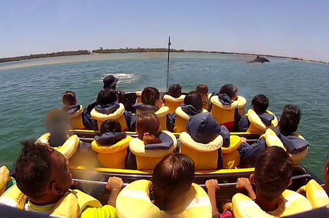 Jet Boat Express Ride - 30mins - Tourism Cairns 5