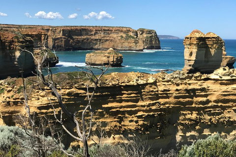 Great Ocean Road Reverse Itinerary Tour - Tourism Cairns 1