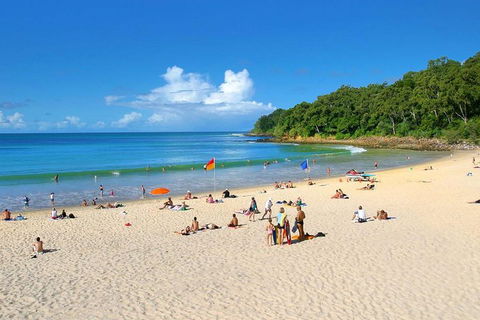 Noosa Everglades Serenity Cruise & Highlights Tour Inc. Lunch & Cruise - Tourism Cairns 4
