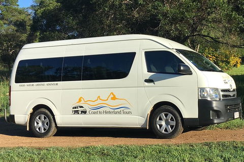 Noosa Everglades Serenity Cruise & Highlights Tour Inc. Lunch & Cruise - Tourism Cairns 5