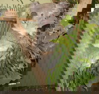 Blue Mountains Private Full-Day Tour from Sydney with Cruise - Tourism Cairns