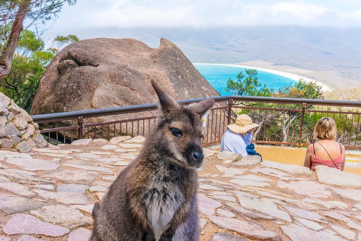  Tourism Cairns