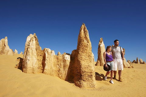 Pinnacles Day Trip From Perth Including Yanchep National Park - Tourism Cairns 0