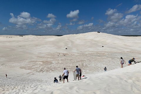 Pinnacles Day Trip From Perth Including Yanchep National Park - Tourism Cairns 2