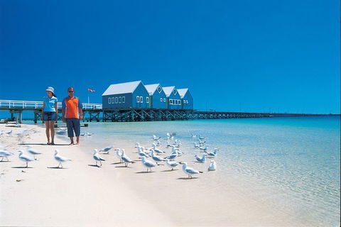 Margaret River And Geographe Bay Region Day Trip From Perth - Tourism Cairns 0