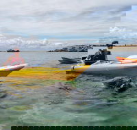 Seal Island and Penguin Island or Point Peron Sea Kayak Tour - Tourism Cairns