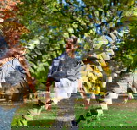 Aboriginal Heritage Walk - Royal Botanic Gardens Victoria Melbourne Gardens - Tourism Cairns