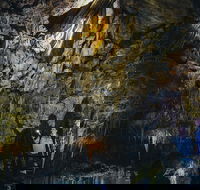 Ngilgi Cave Semi-guided Tour - Tourism Cairns