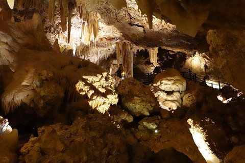 Ngilgi Cave Semi-guided Tour - Tourism Cairns 3