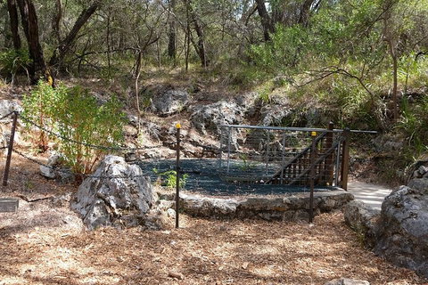 Ngilgi Cave Semi-guided Tour - Tourism Cairns 4