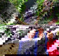 Exclusive Private Tour - Design your own - Tourism Cairns